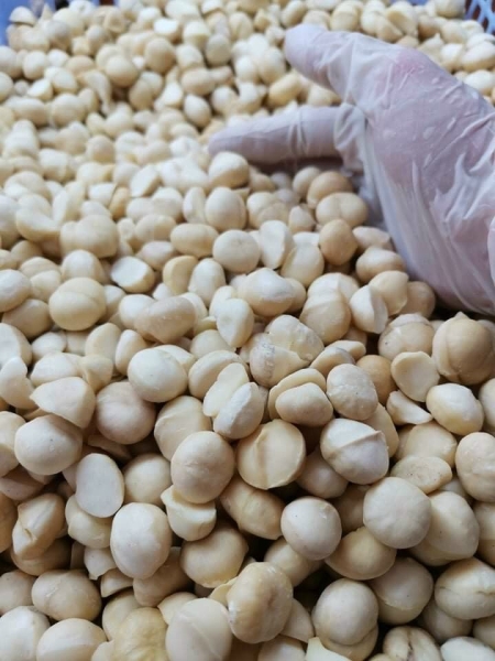 Macadamia nuts - Nông Sản U&B - Công ty TNHH Xuất Nhập Khẩu Nông Sản U&B